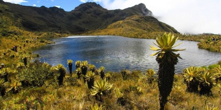 Colombia: El país donde las montañas son fábricas de agua